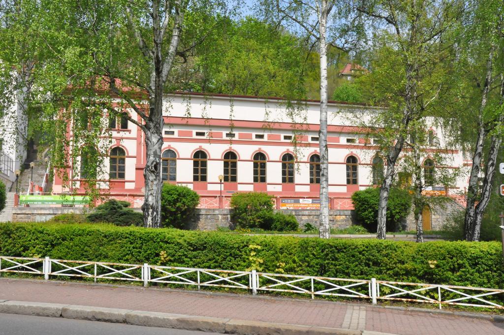 Hostel Děčín Na Skřivánce Camera foto